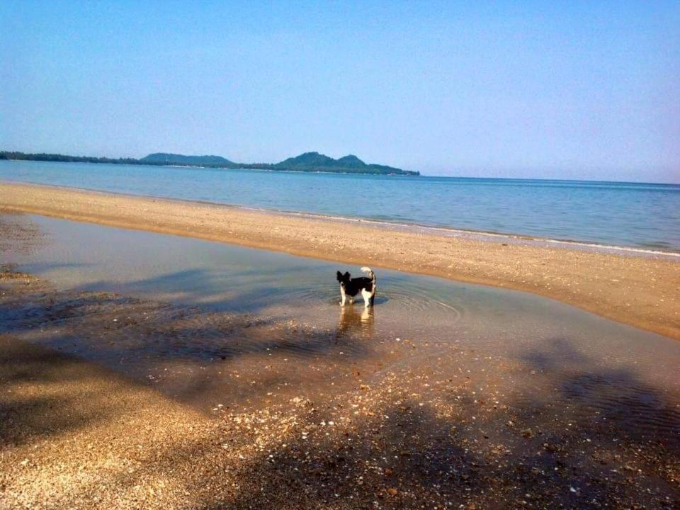 Ban Tawansongfa 호텔 Lang Suan 객실 사진